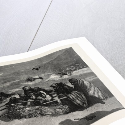 Buried Quick and Unburied Dead, 1870 by Anonymous