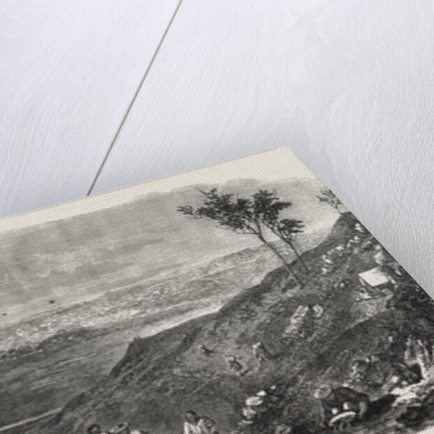 The Gold Fields of Australia: Ballarat, 1865 by Anonymous