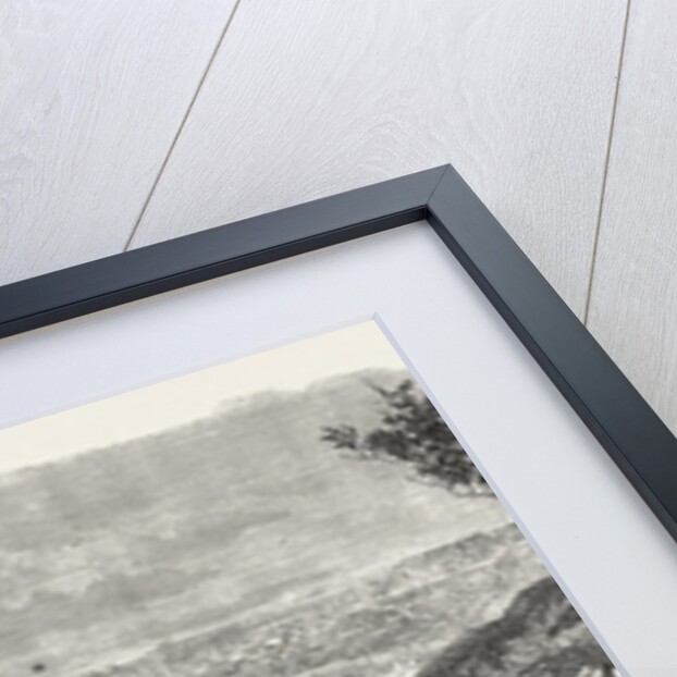 The Gold Fields of Australia: Ballarat, 1865 by Anonymous