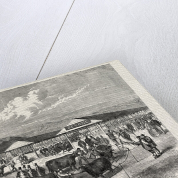 Judging the Cattle at the Plymouth Agricultural Show, UK, 1865 by Anonymous