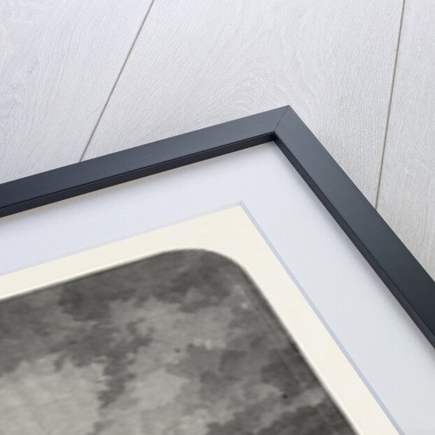 The Late Great Fire at Constantinople, Istanbul, Turkey, 1865 by Anonymous