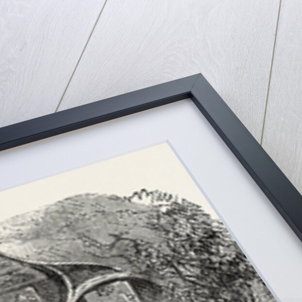 Statue of Joan of Arc, Jean D'Arc, Before Her House at Domremy, Domremy-La-Pucelle, France, 1865 by Anonymous