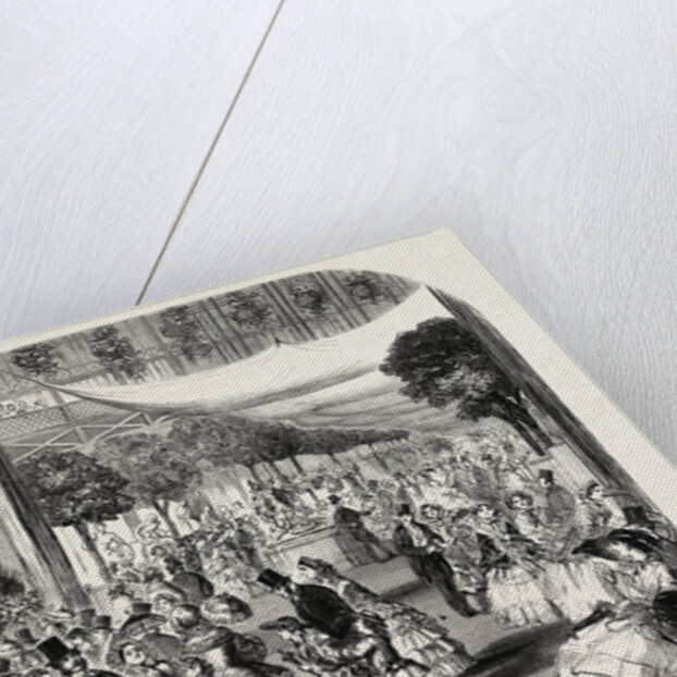 Flower Show at the Crystal Palace, London, 1857 by Anonymous