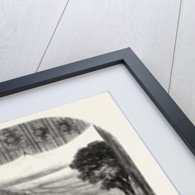 Flower Show at the Crystal Palace, London, 1857 by Anonymous