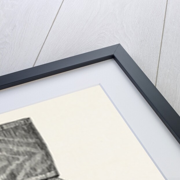 The New Imperial Order of the Crown of India (for Ladies) by Anonymous