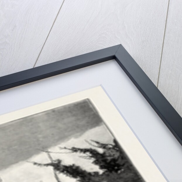 In the British Crimean Cemetery, Scutari, Crimea by Anonymous