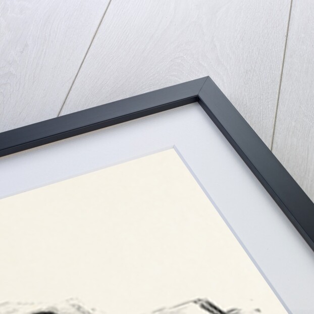 Tattoo in the Tropics by Anonymous