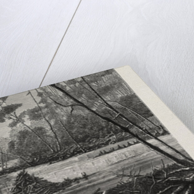 The Introduction of Beavers Into England, a Beaver Lodge and Dam by Anonymous