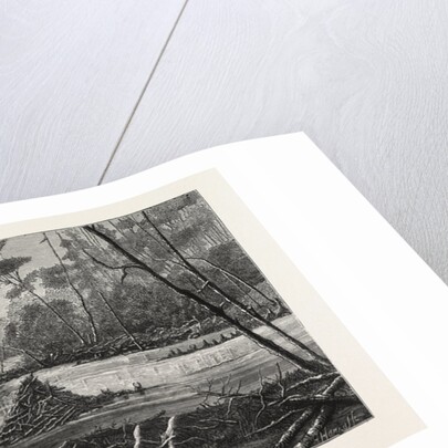 The Introduction of Beavers Into England, a Beaver Lodge and Dam by Anonymous