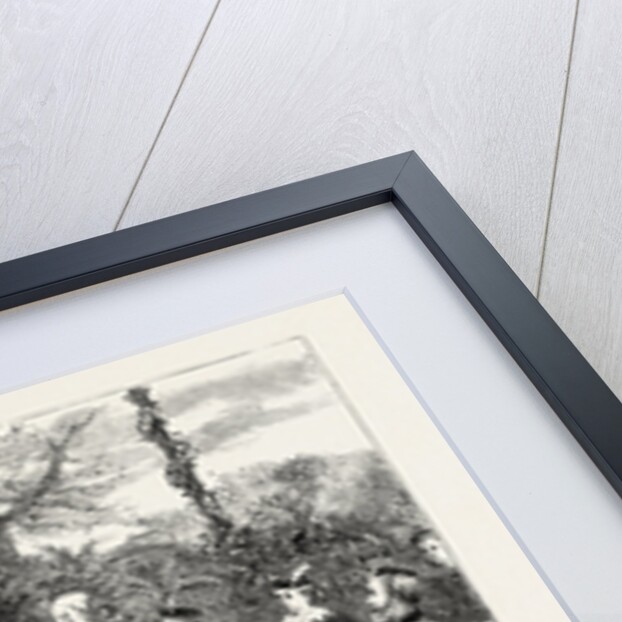 Crowning the May Queen by Anonymous