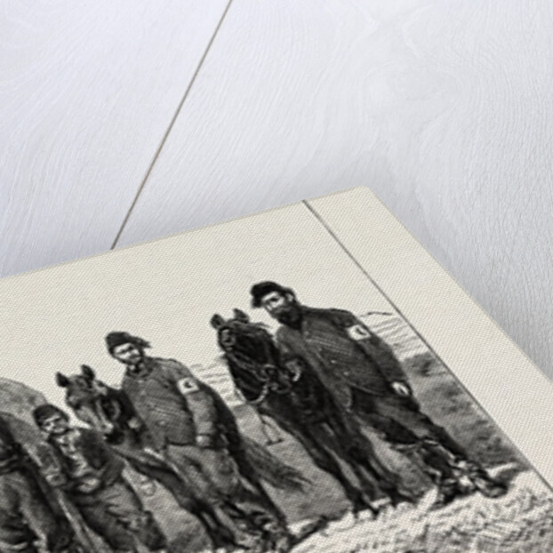 Dr. Stoker's Field Ambulance Corps (Stafford House Society), British in Turkey by Anonymous