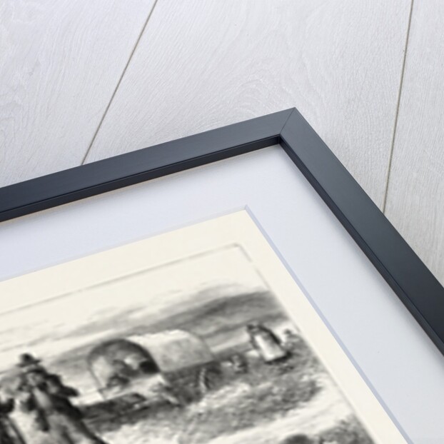 Emigrant Life in British North America by Anonymous