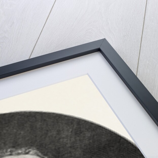 William Harvey by Anonymous