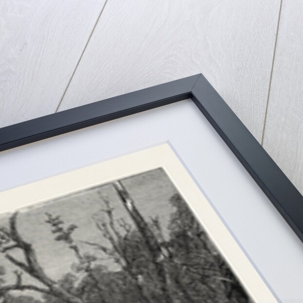 My First Residence, Gold in Canada, Emigrant Life by Anonymous