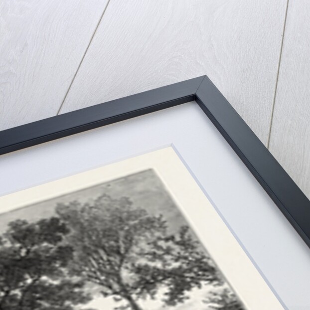 The Japanese Farm on the Trocadero, the Paris Exhibition, France by Anonymous