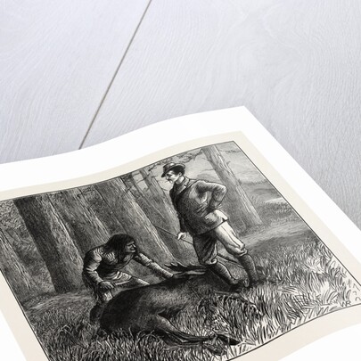 The Dead Moose by Anonymous