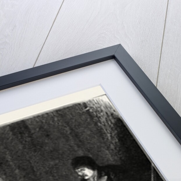 The Camp, Moose Steak by Anonymous