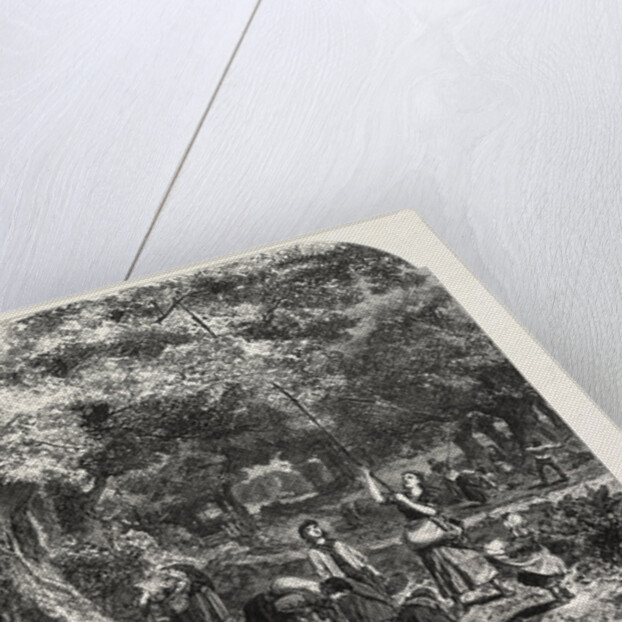 Gathering Acorns, 1868 by Anonymous