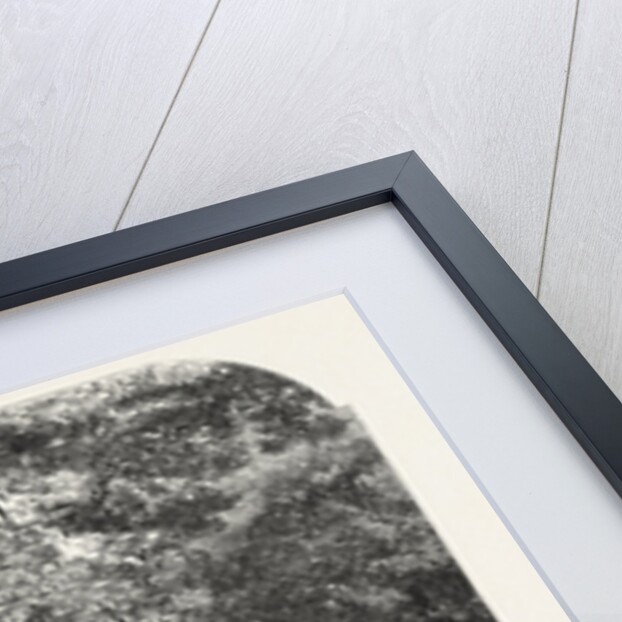 Gathering Acorns, 1868 by Anonymous