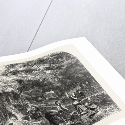 Gathering Acorns, 1868 by Anonymous