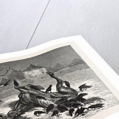 The The Horrors of War: on the Road to Beaugency, France, 1871 by Anonymous