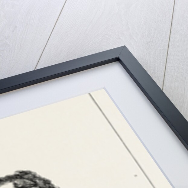 Dr. W.H. Russell, War Correspondent by Anonymous