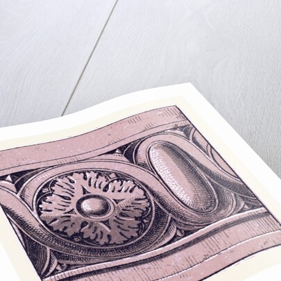 Renaissance Ornament by Anonymous