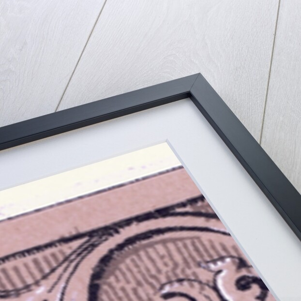 Renaissance Ornament by Anonymous