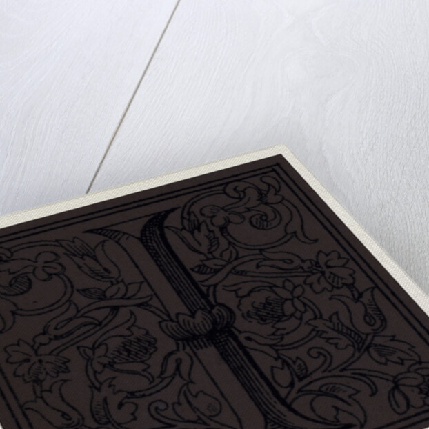 Italian Ornament by Anonymous