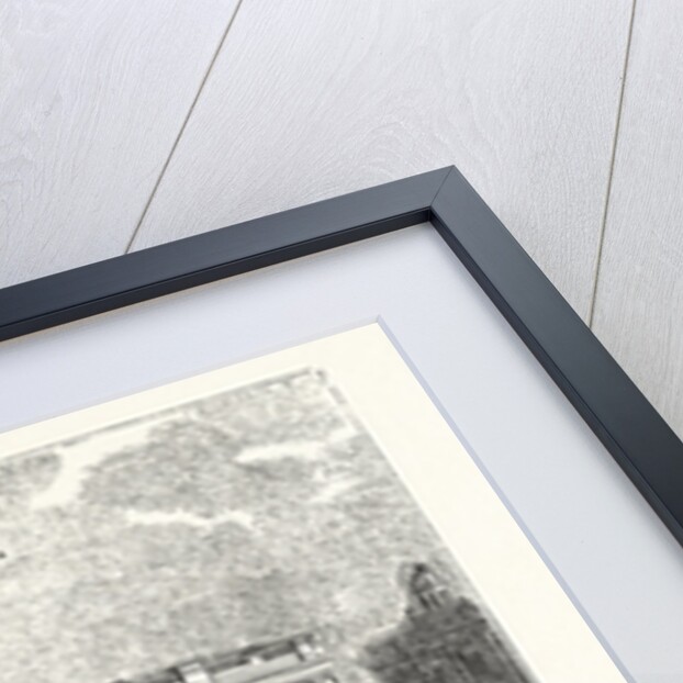 Proclamation of Her Majesty by Anonymous