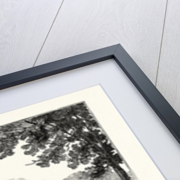 Kensington Palace: The Birthplace of Her Majesty Queen Victoria by Anonymous