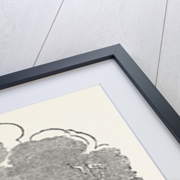 The Folly On The Thames, 1660 by Anonymous