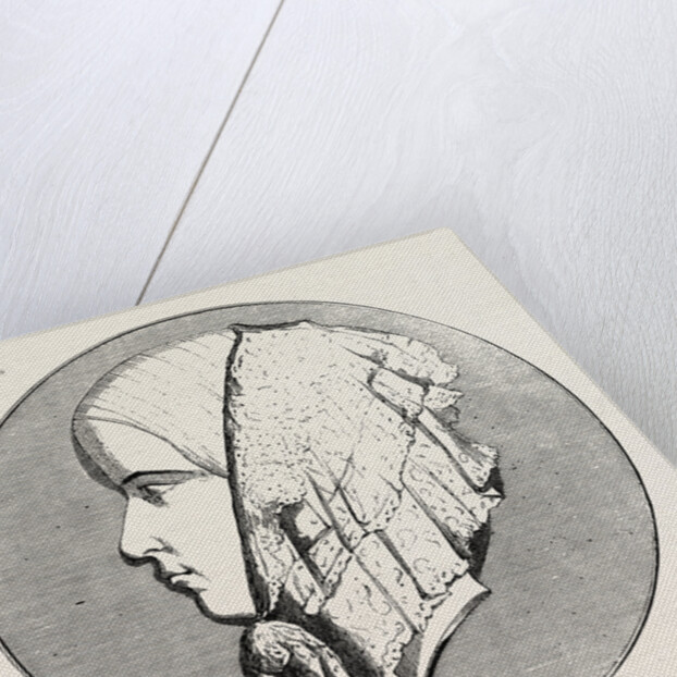 Elizabeth Rachel Felix, Also Known As Mademoiselle Felix, French Actress, 1855 by Anonymous