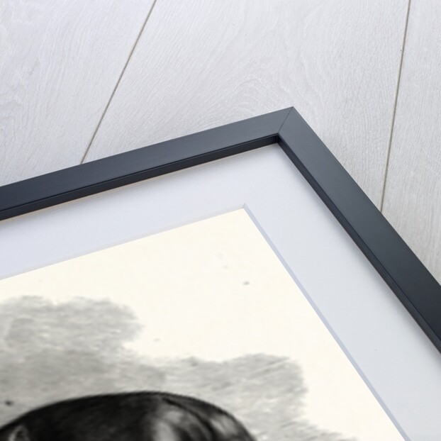 Connecticut: St. Julien, Who Beat His Own and the Best One-Mile Record, at the Charter Oak Course, Hartford by Anonymous