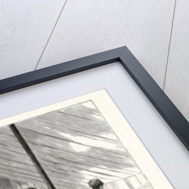 New York: Ladies of the Flower and Fruit Mission Waiting Upon Patients, in the Hospital Tent on Ninety-Ninth Street by Anonymous