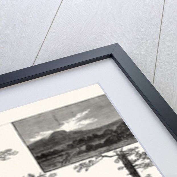 Centennial Celebration of the Battle of King's Mountain, October 7th: The Hon. John W. Daniel Delivering the Historical Oration. South Carolina by Anonymous