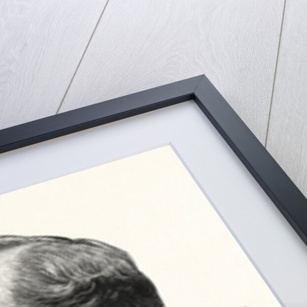 Hon. James A. Garfield, President-Elect of the United States by Anonymous