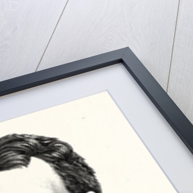 Baron Boissy D'Anglas, Minister Plenipotentiary of France to Mexico by Anonymous