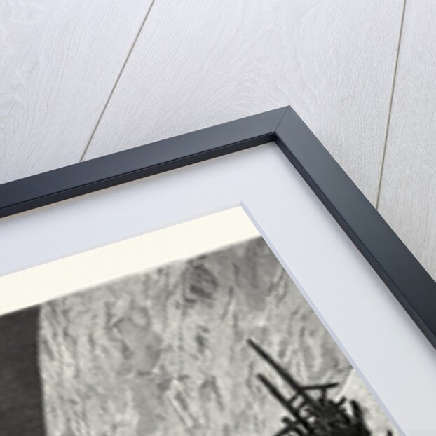 Utah: The Recent Snow Slide in the Wahsatch Mountains, Effects of the Avalanche in the Town of Alta by Anonymous