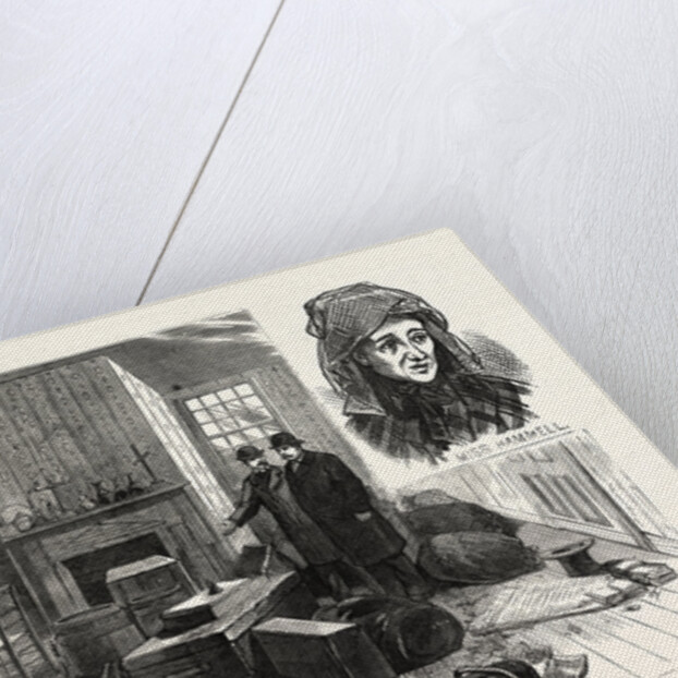 The Singular Story of Mary Hammell and Her Alleged Persecutor: Mrs. Allen's Remarkable Collections in the Texido Mansion, Flushing by Anonymous