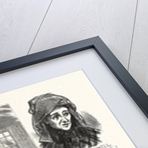 The Singular Story of Mary Hammell and Her Alleged Persecutor: Mrs. Allen's Remarkable Collections in the Texido Mansion, Flushing by Anonymous