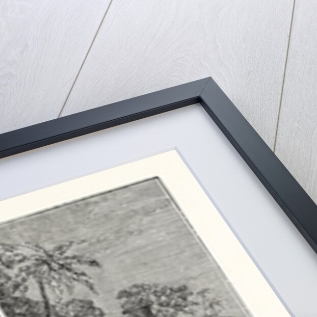 Itinerant Musicians of India by Anonymous