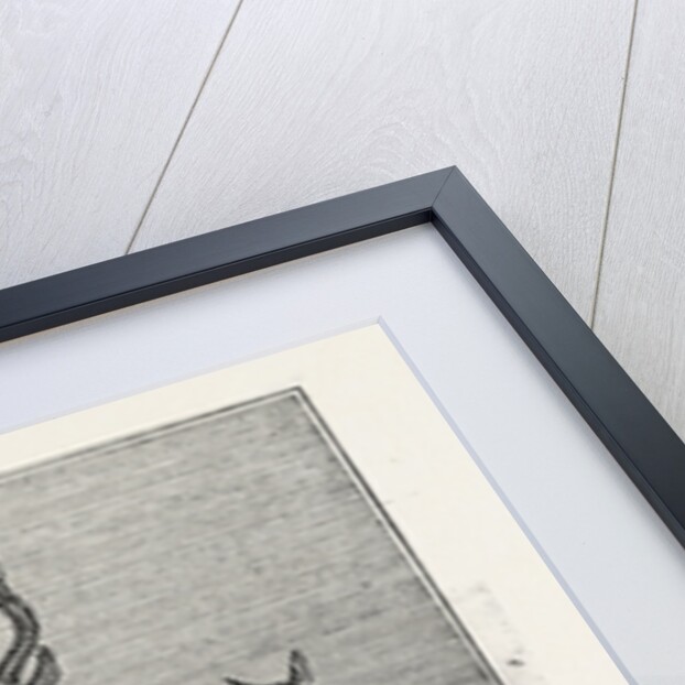 The Antelope by Anonymous