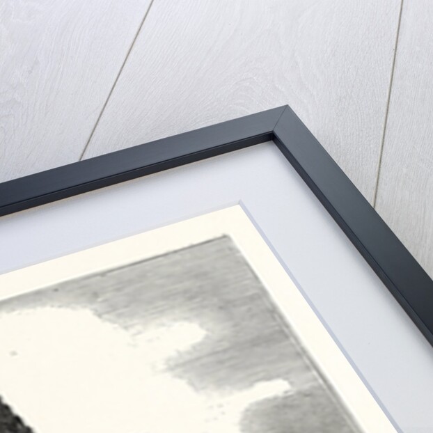 The Cathedral at Strasbourg France by Anonymous