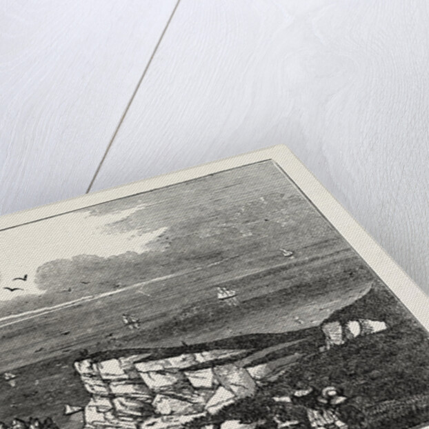 The Needles by Anonymous