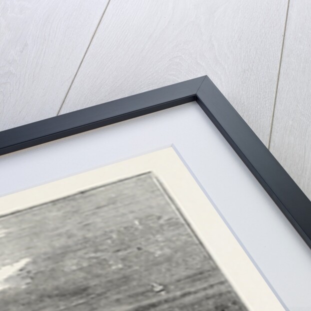 The Needles by Anonymous