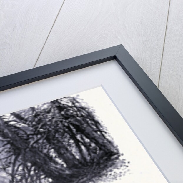 The Shelving Waterfall by Anonymous