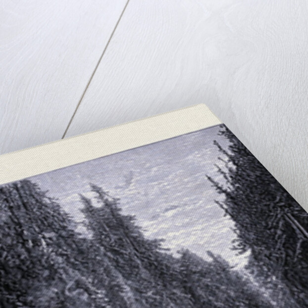 Ausable Chasm New York by Anonymous