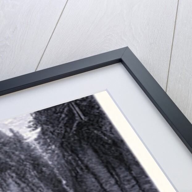 Ausable Chasm New York by Anonymous