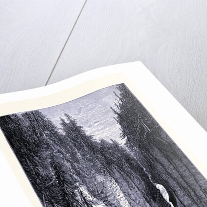 Ausable Chasm New York by Anonymous